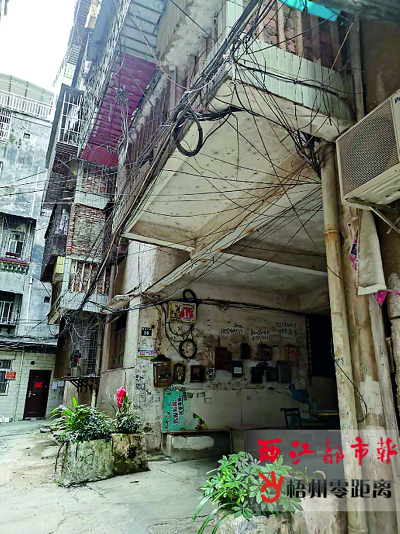 线缆随意拉开云APP 开云官网入口设犹如“蜘蛛网”(图3)
