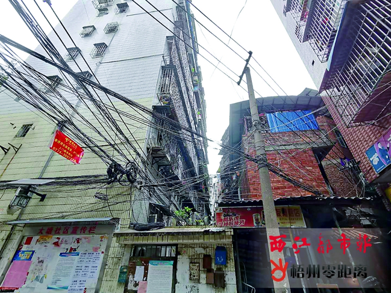 线缆随意拉开云APP 开云官网入口设犹如“蜘蛛网”(图4)