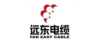 专Kaiyun 开云精特新企业优秀案例展播⑥ 远东电缆有限公司：向着成为“全球线缆行业领跑者”前行(图4)