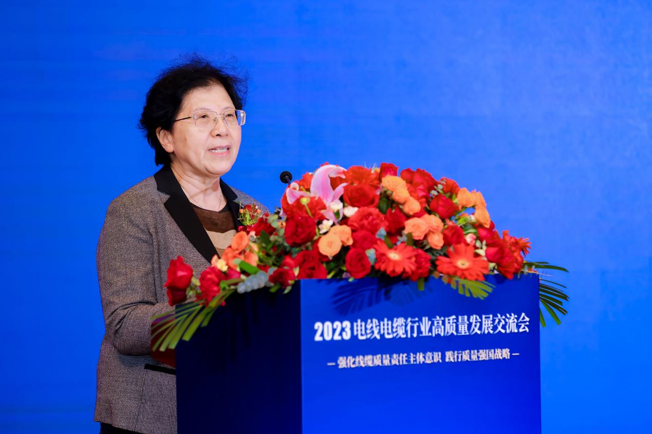 践行质量强国战略共商电线电缆开云 开云体育平台行业高质量发展——2023电线电缆行业高发展交流会在京举行(图3) 践行质量强国战略共商电线电缆开云 开云体育平台行业高质量发展——2023电线电缆行业高发展交流会在京举行(图3)