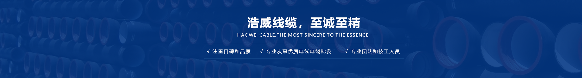 开云APP 开云官网入口浩威线缆有限公司(图1)