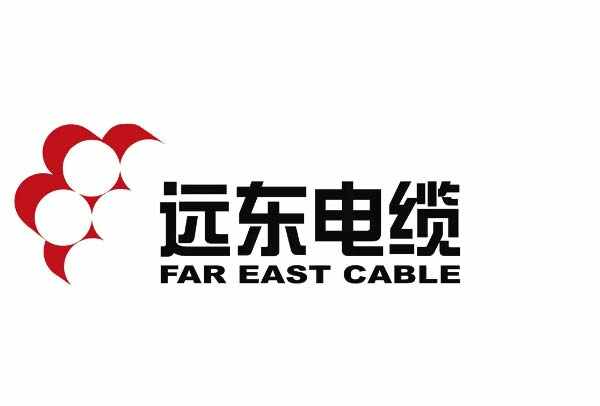 中国电线电缆十大名牌远东电缆占据第一名开云体育 开云平台(图1)