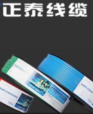 中国十大电线质量品牌排名德力西电线、飞雕安全有保障开云APP 开云官网入口(图1)