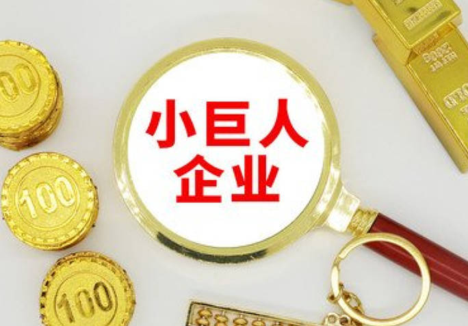 Kaiyun 开云体育中国专精特新真正龙头：五大小巨人企业或将诞生下一个九安医疗(图3)