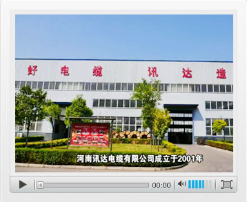 河南讯达电线电缆有限公开云 开云体育平台司(图2)