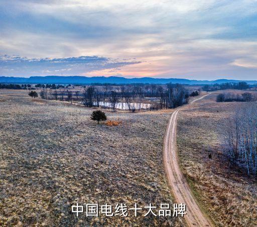 全国十大电缆品牌中国电线排名前十的有哪些品牌Kaiyun 开云(图2)
