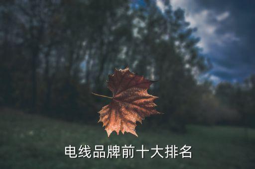 开云 开云体育官网电线品牌前十大排名电线十大名牌排名(图2)