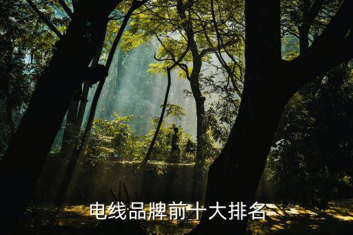 开云 开云体育官网电线品牌前十大排名电线十大名牌排名(图3)
