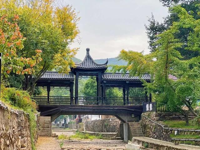 Kaiyun 开云远东电缆：“点靓”乡村振兴(图2)
