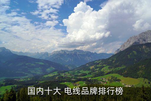 电线电缆品牌中国电线电缆十大品牌排行榜出Kaiyun 开云炉(图1)