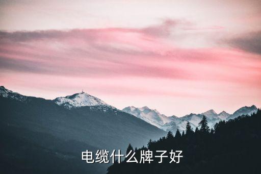 电线电缆品牌中国电线电缆十大品牌排行榜出Kaiyun 开云炉(图2)