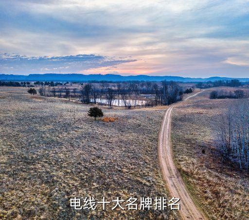 电缆排名中国电线电缆的十大排名有哪开云体育 Kaiyun.com 官网入口些企业(图2)