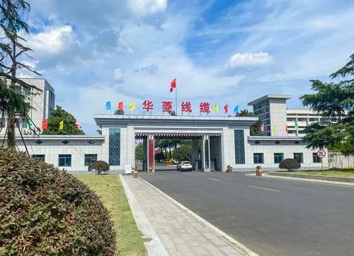 开云体育 开云平台十八年磨一剑湘潭高新区企业华菱线缆上市！看老牌国企的逆袭之路(图1)