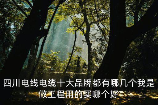 电缆十大品牌中国电线排名前十的有哪些品牌Kaiyun 开云体育(图3)
