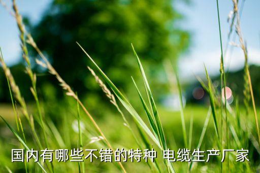 北京电缆厂中国电线电缆十大品牌排行开云体育 开云平台榜出炉(图2)