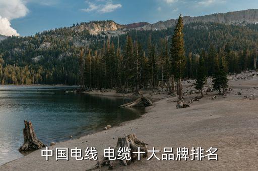 北京电缆厂中国电线电缆十大品牌排行开云体育 开云平台榜出炉(图3)