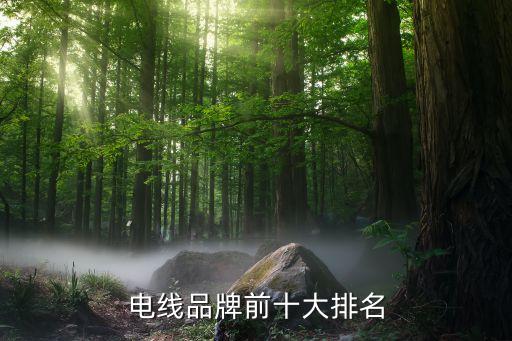 十大电开云体育 开云平台线品牌电线排名前十得牌子(图2)