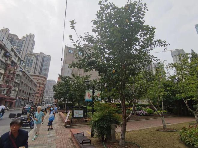 开云 开云体育官网太危险！上海一公园门口线缆飞悬下面就是老人休息的长凳 到底什么线？查清楚了→(图2)