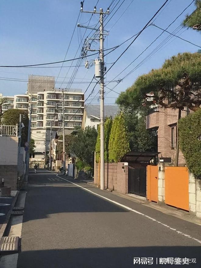 日本教授：看开云体育 开云平台不懂中国电线杆便宜不用非要多花钱铺设地下电缆(图2)