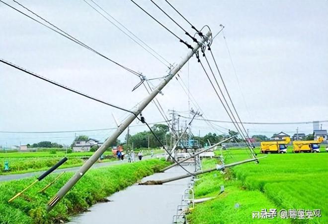 日本教授：看开云体育 开云平台不懂中国电线杆便宜不用非要多花钱铺设地下电缆(图11)
